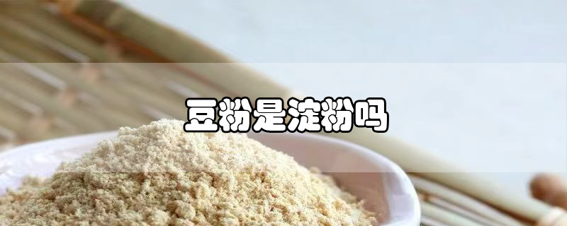 豆粉是淀粉吗